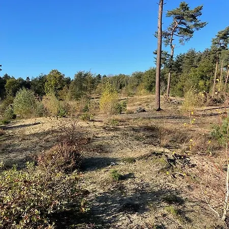 Im Ferienpark, Irrlandpark, Maasduenen, Naturerlebnis, Kinderfreundlich Chalet