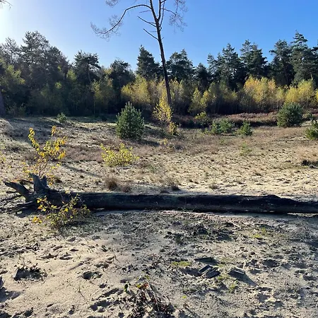 Im Ferienpark, Irrlandpark, Maasduenen, Naturerlebnis, Kinderfreundlich Chalet